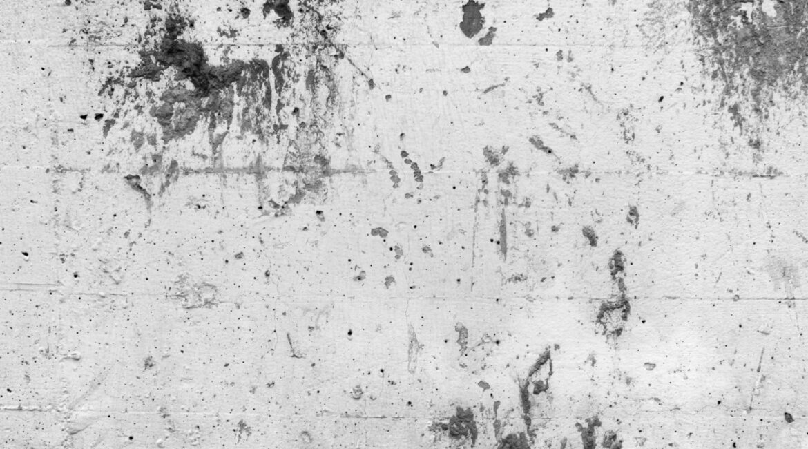 How to Fight Mould in your Bathroom (Part II) | Speedy Shower Screens