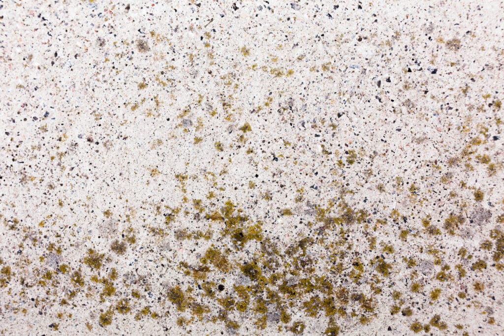 Common Shower Screen Issues to Prevent Leaks and Water Damage 2 close up spotted texture