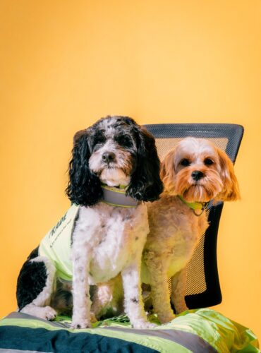 thumbnail SPEEDYSHOWERSCREENS EXTRA 5